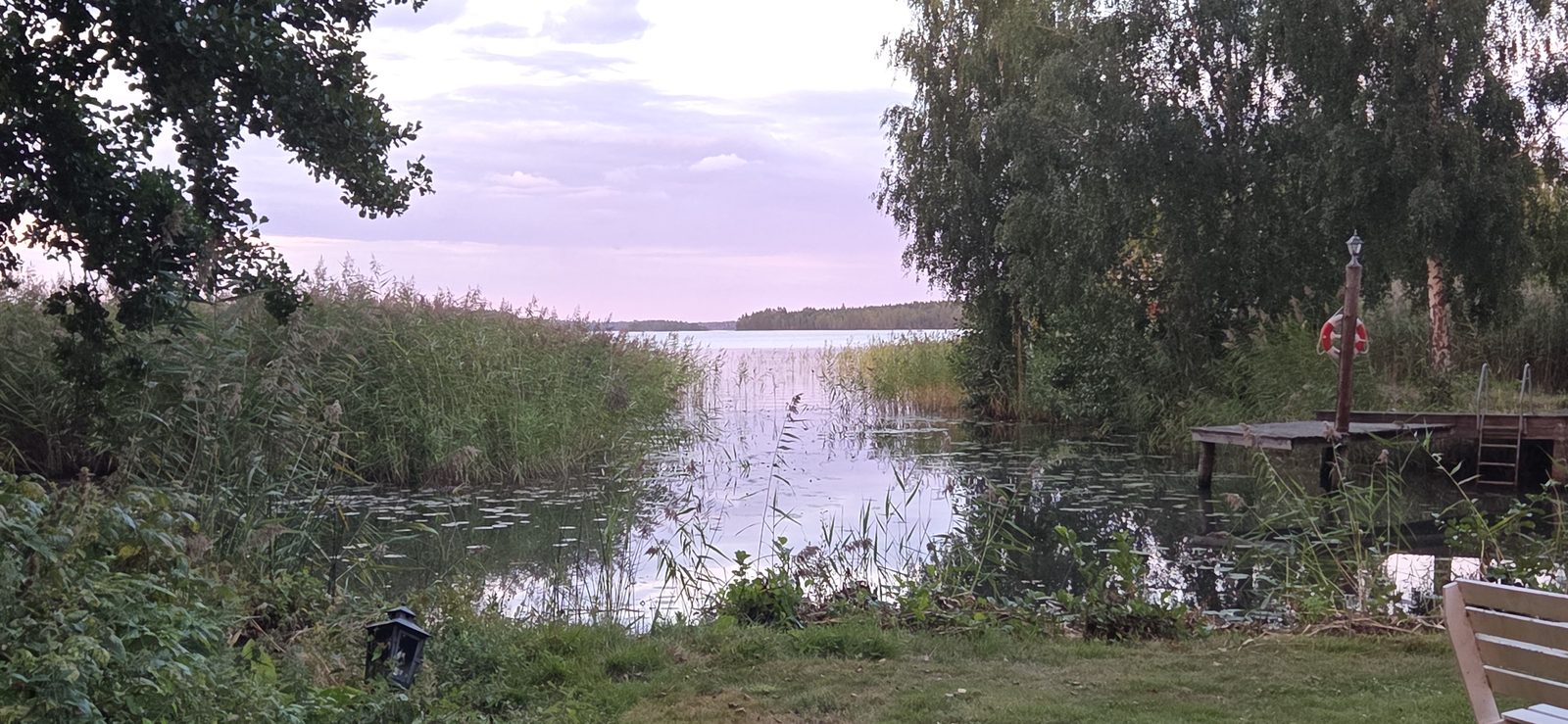 Tisnaren i skymning, sedd över vassen från bryggan.